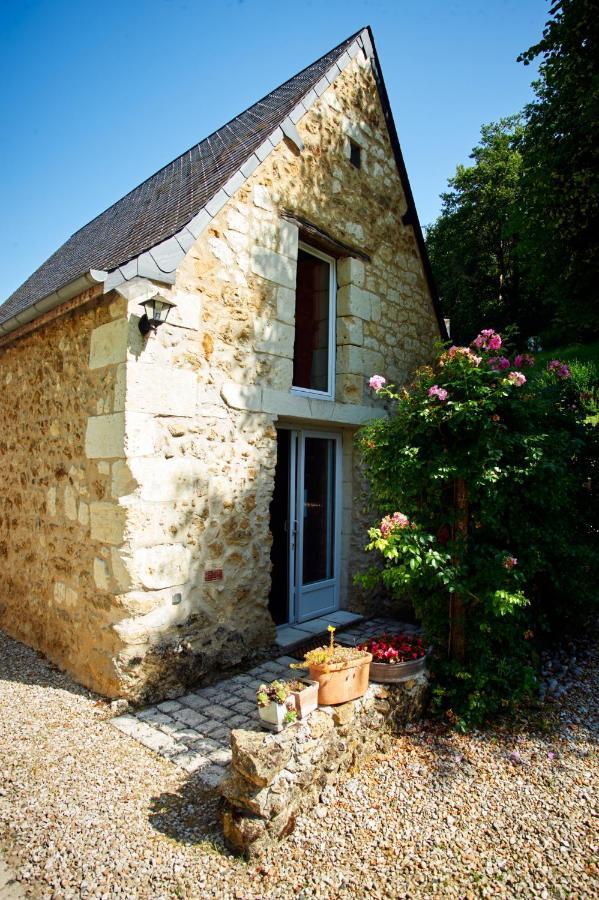 Domaine De La Juranvillerie, Gite Et Chambres D'Hotes Rigny-Ussé エクステリア 写真